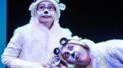 polar bears