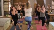 yogaandcocktailsdeepeddy